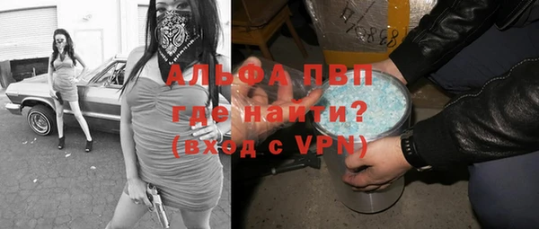 шишки Алзамай