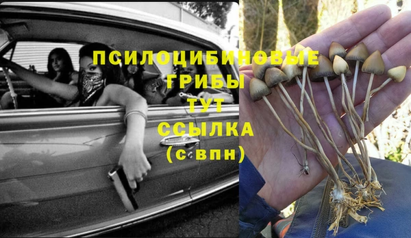 твердый Алексеевка