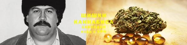 твердый Алексеевка