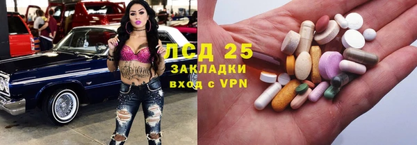 шишки Алзамай