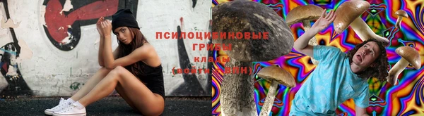 шишки Алзамай