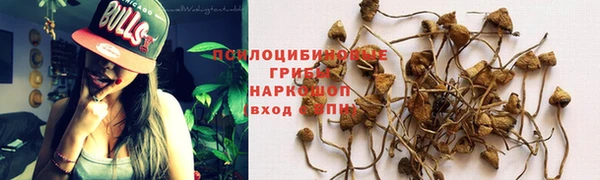 шишки Алзамай