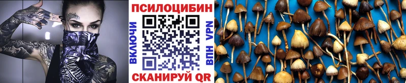 Галлюциногенные грибы прущие грибы  дарнет шоп  Опочка 