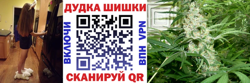 Каннабис OG Kush  Опочка 